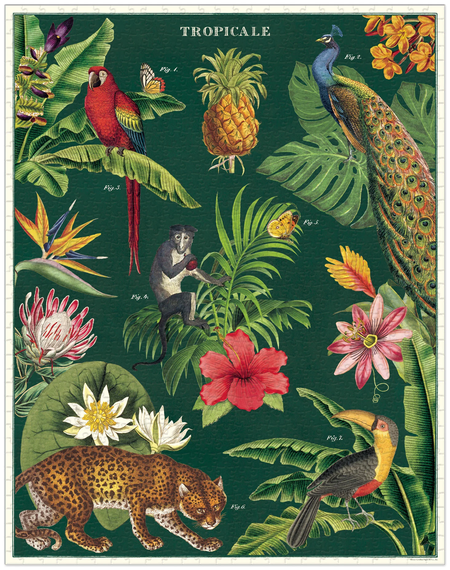 Tropicale 1,000 Piece Puzzle - Image 2