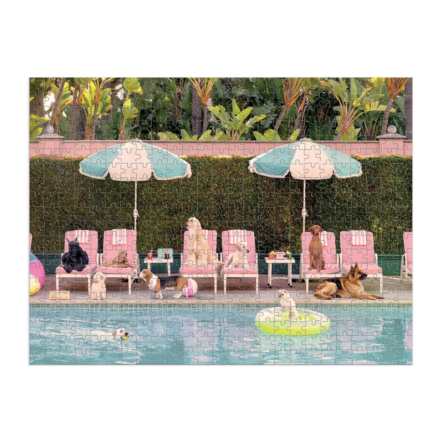 Gray Malin 500 Piece Puzzle, The Dogs at the Beverly Hills Hotel - Image 2