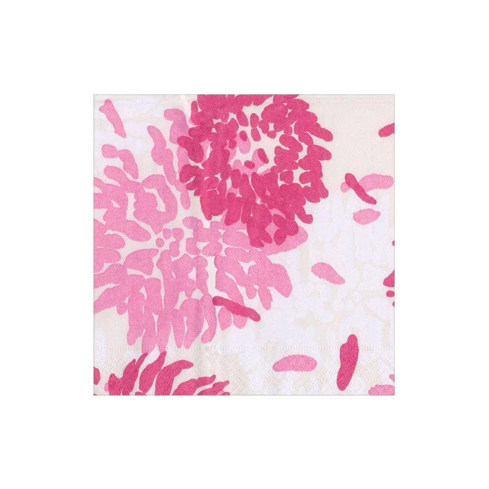 Chrysanthemum Raspberry Collection - Image 2
