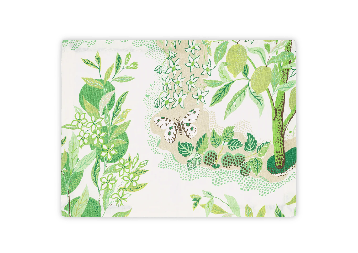 Citrus Garden Grass Collection - Image 2