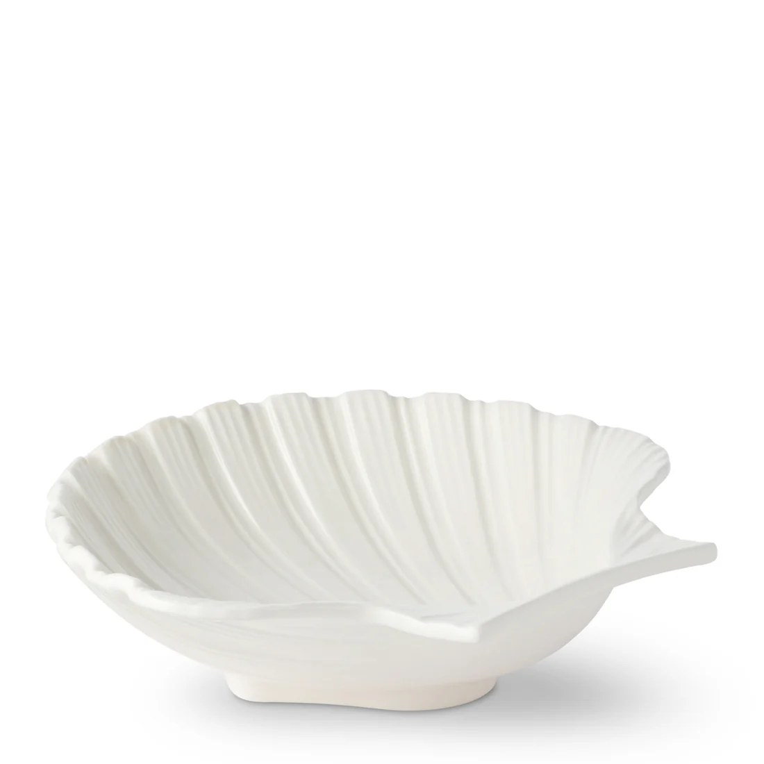Cream Shell Platter Collection - Image 3