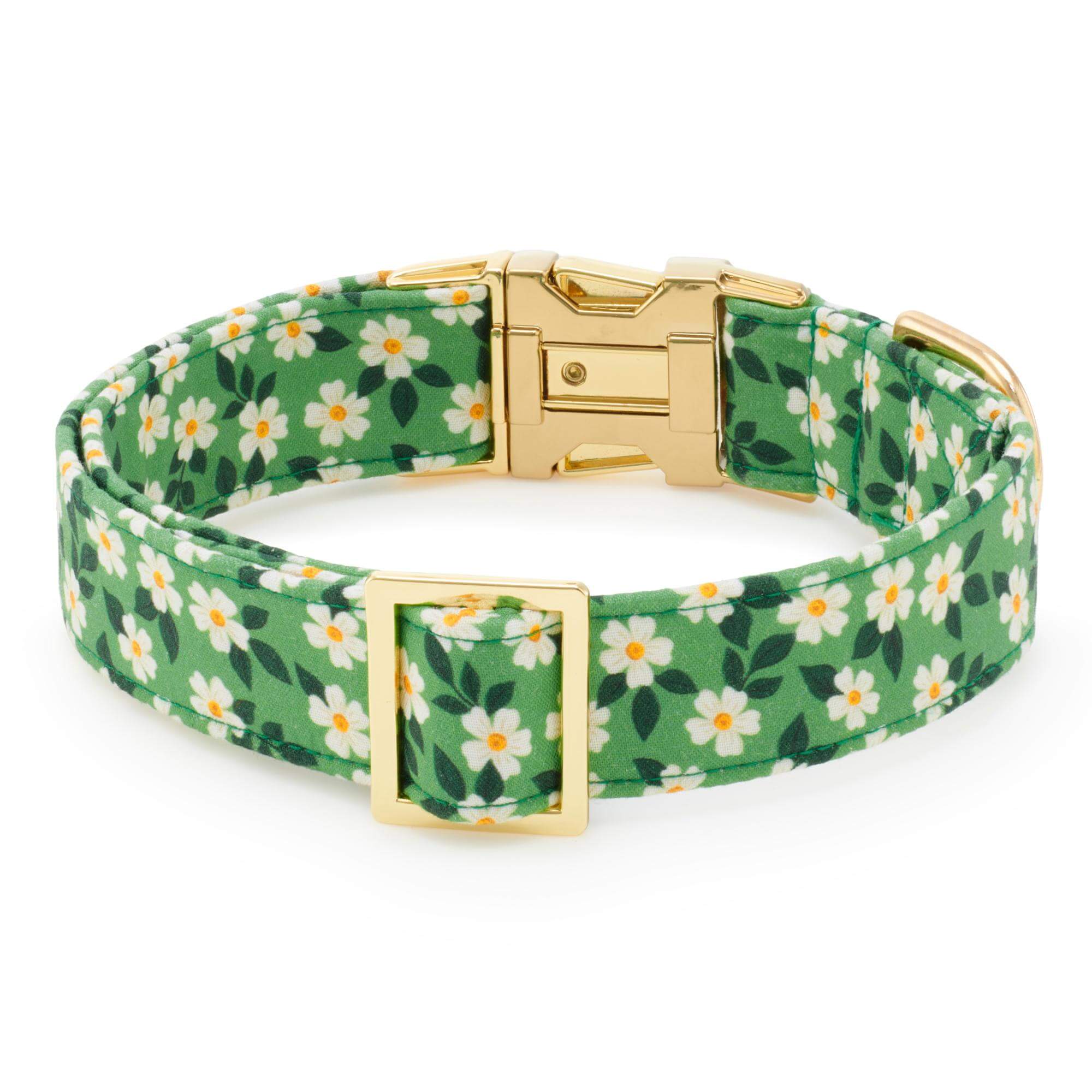 Dainty Daisies Dog Collar - Image 2