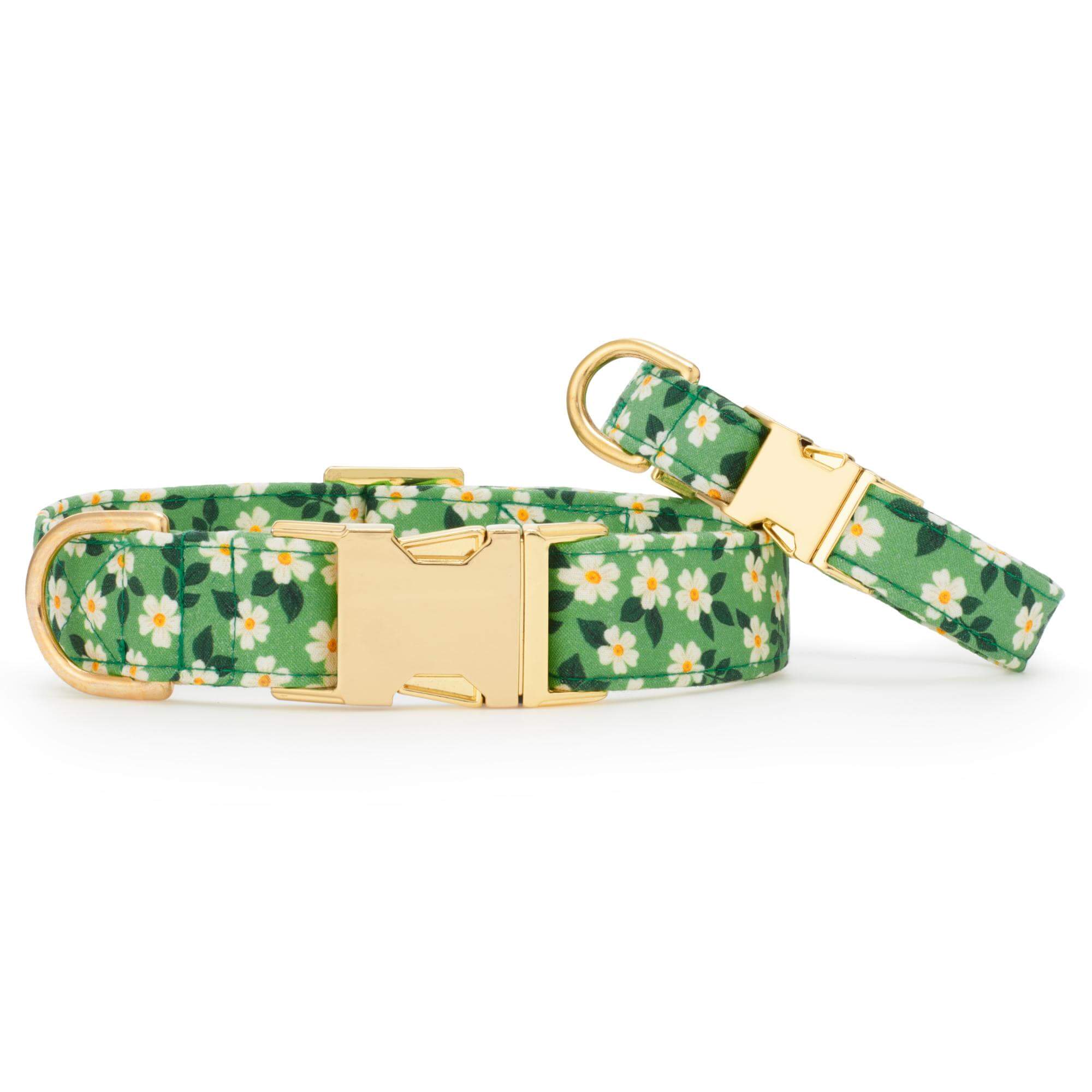 Dainty Daisies Dog Collar - Image 3