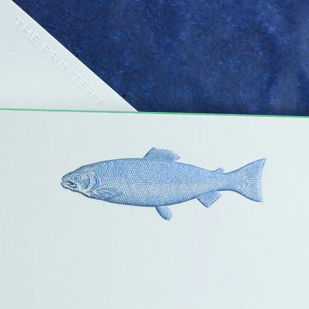 Fish Card Set - Image 2