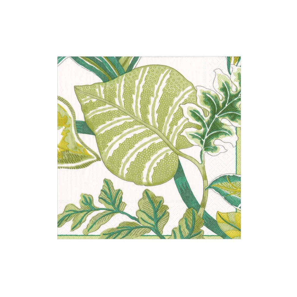 Florida Pierre Frey Ivory Napkin Collection - Image 2