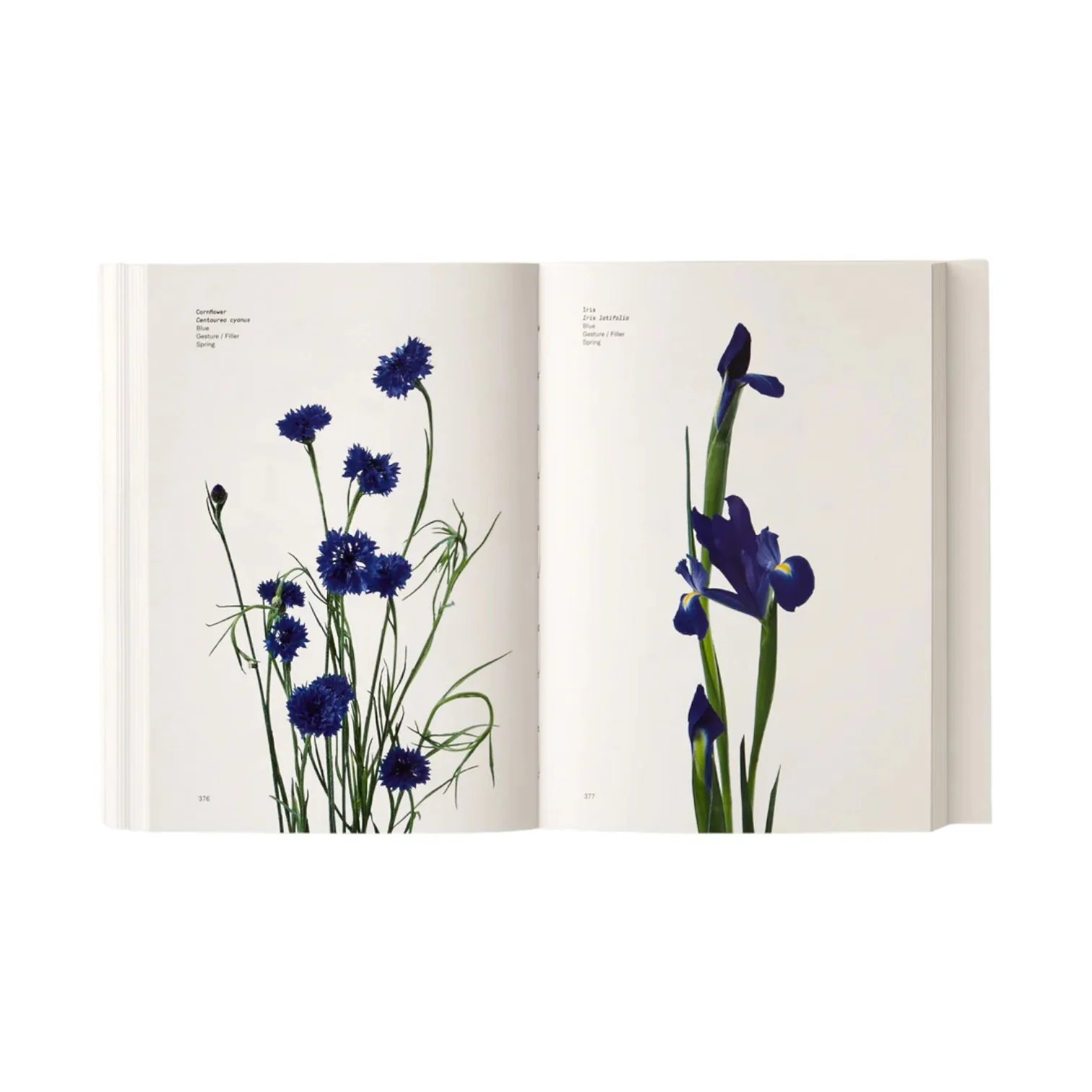 Flower Color Guide - Image 3