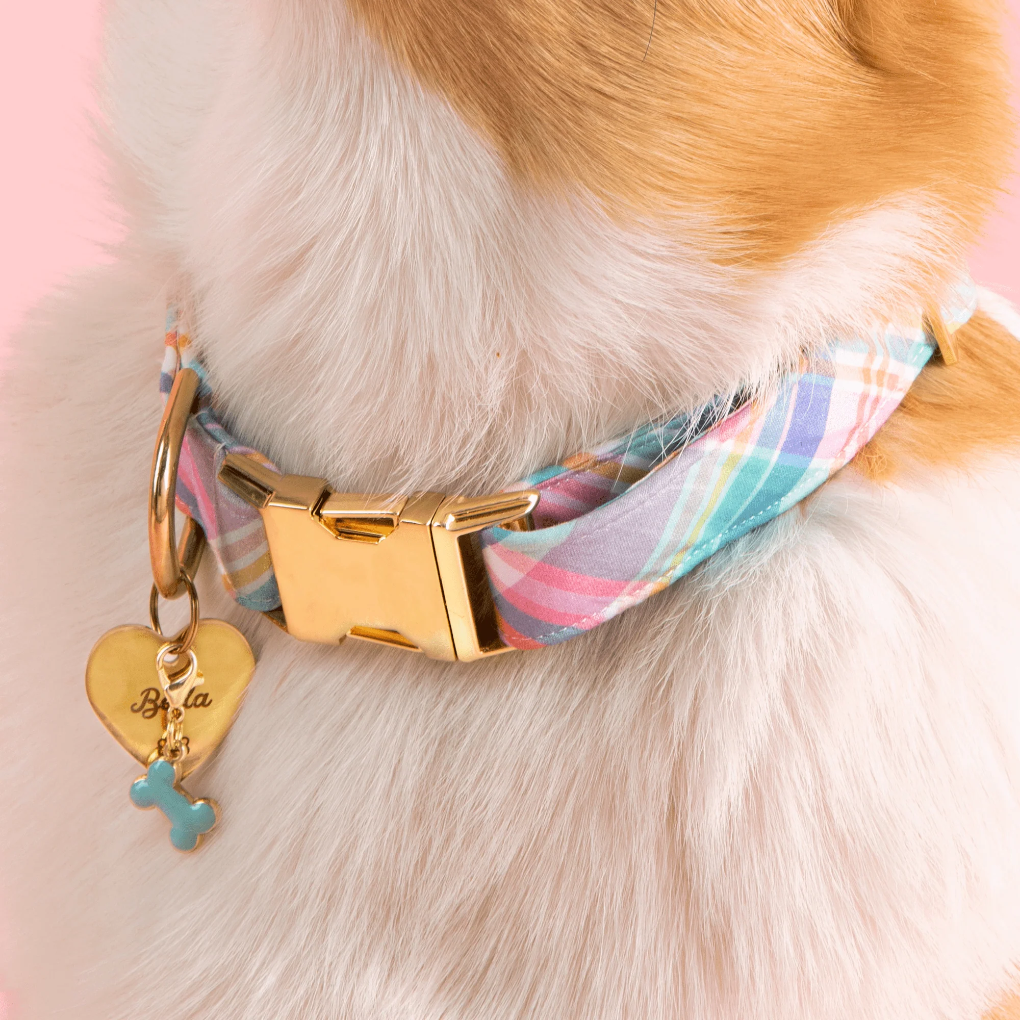 Blue Bone Collar Charm - Image 3