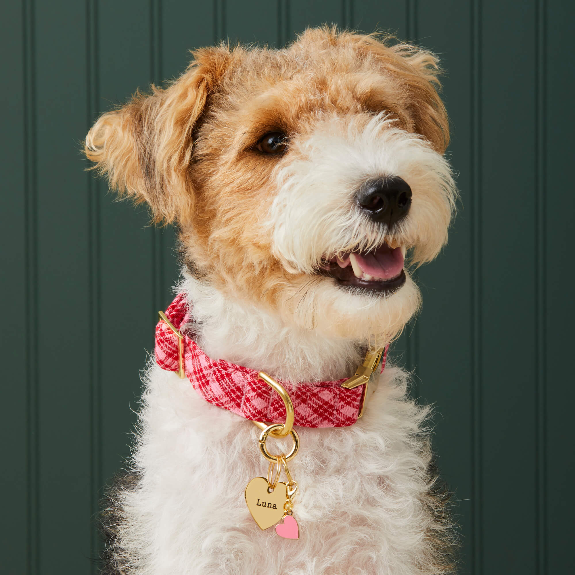 Heart Collar Charm - Image 3