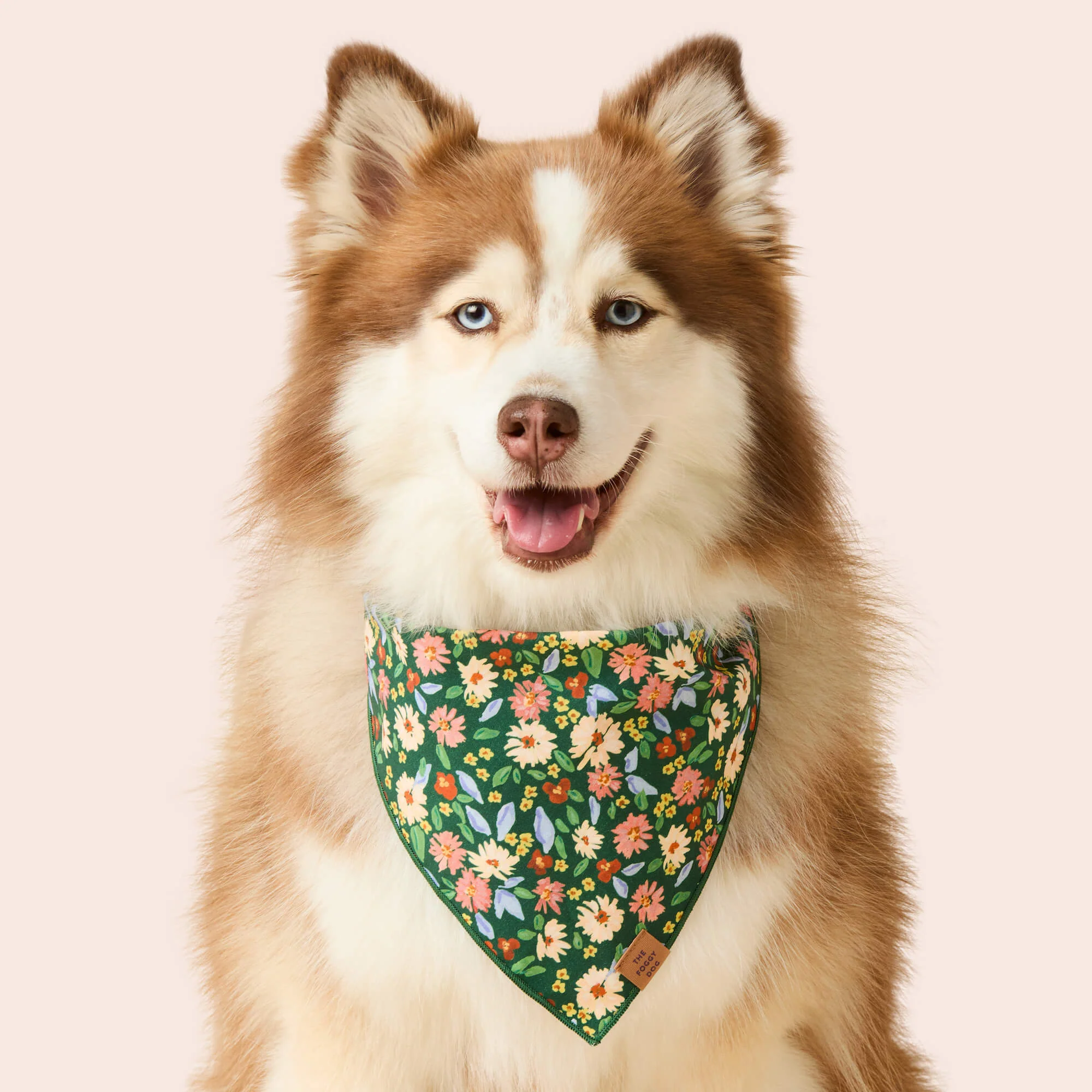 Secret Garden Dog Bandana - Image 2