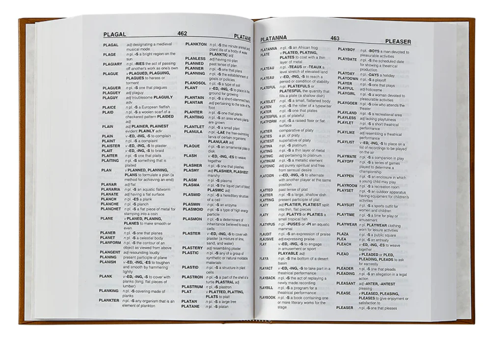 Scrabble Dictionary Red Leather - Image 3