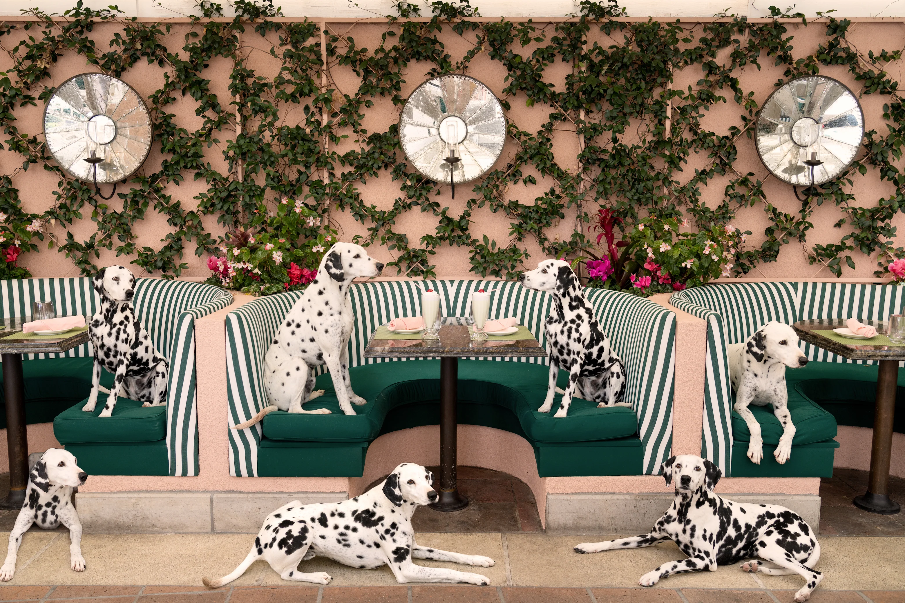 Gray Malin Spotted at The Cabana Cafe, White Frame, 15.5” X 21” - Image 2