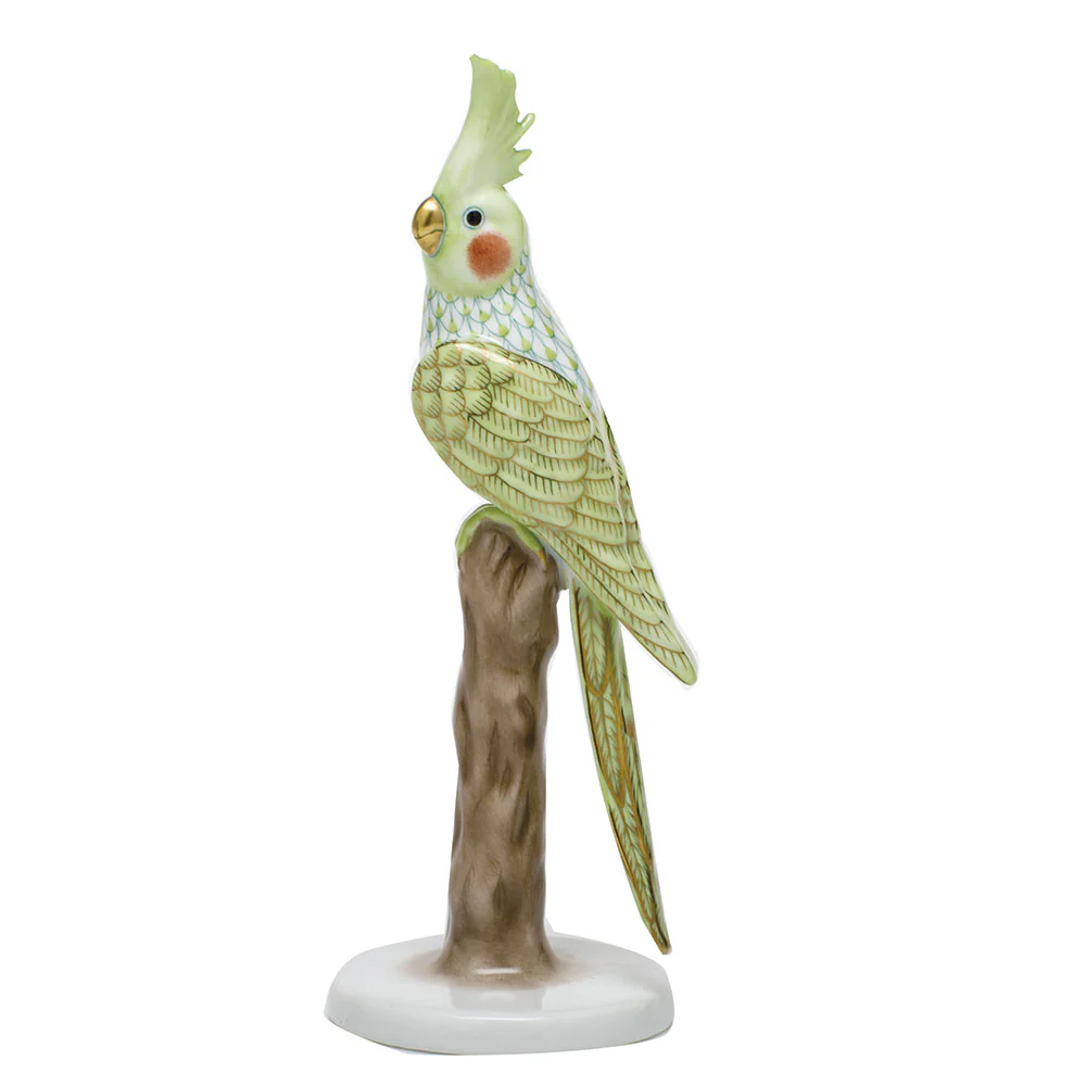 Cockatiel, Key Lime Green