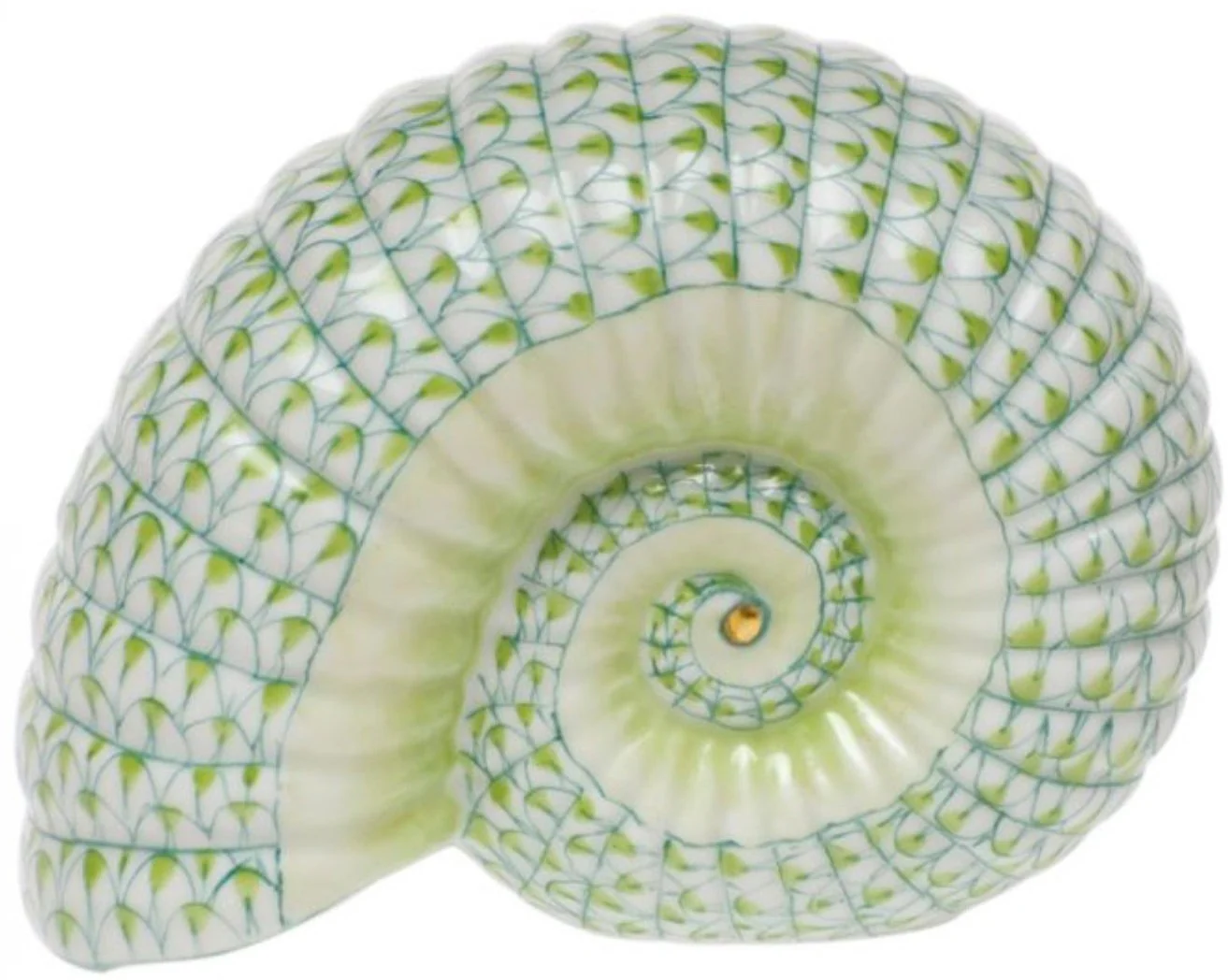 Ammonite Nautilus - Image 3