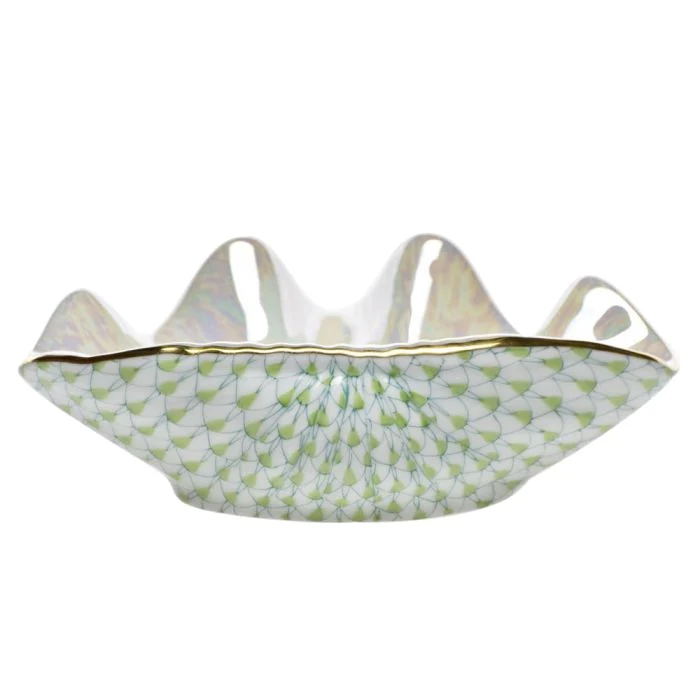 Clam Shell Collection - Image 3