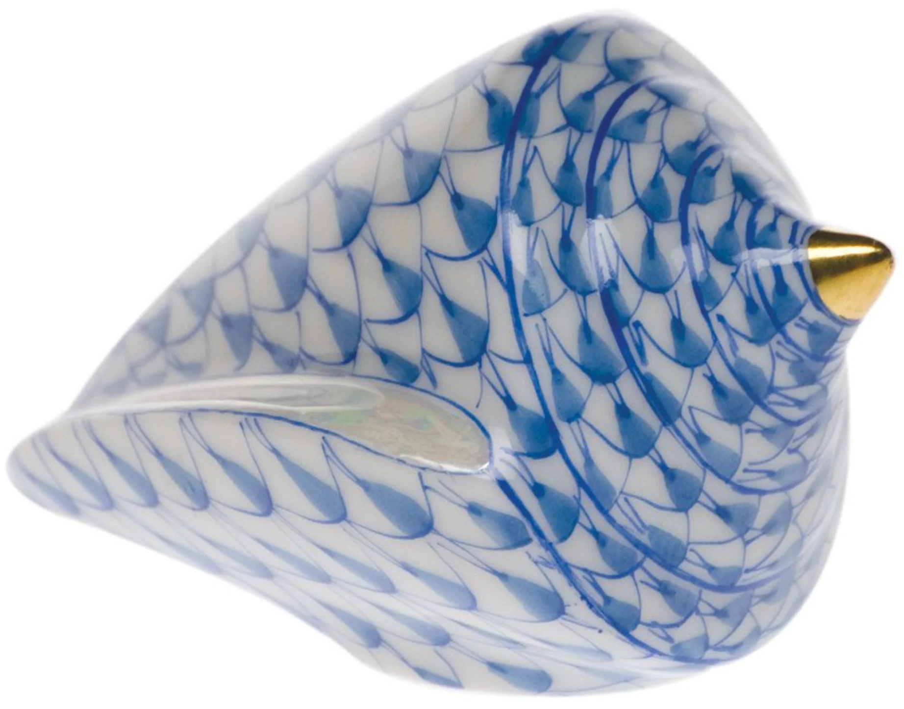 Cone Shell - Image 2