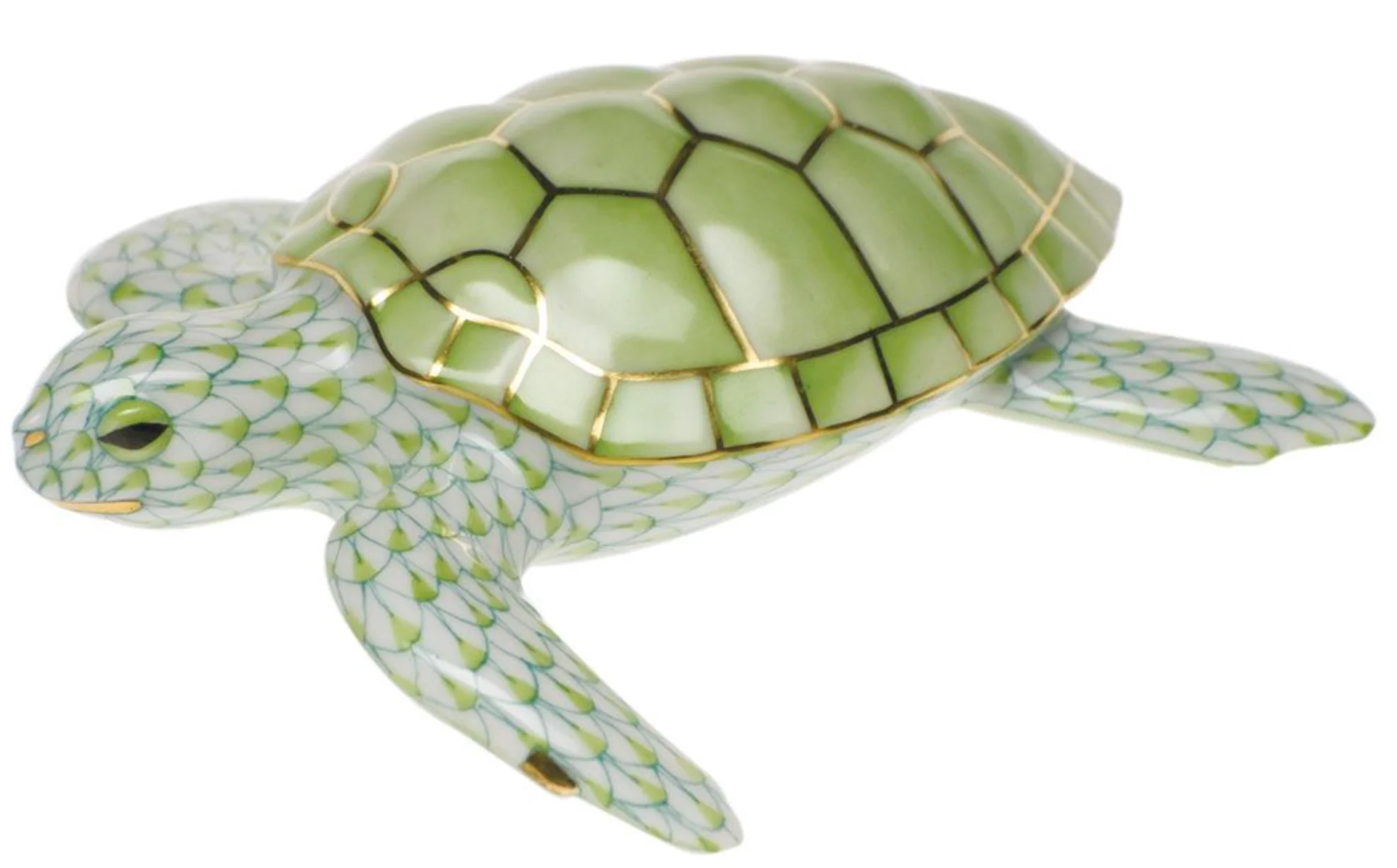 Loggerhead Turtle - Image 2