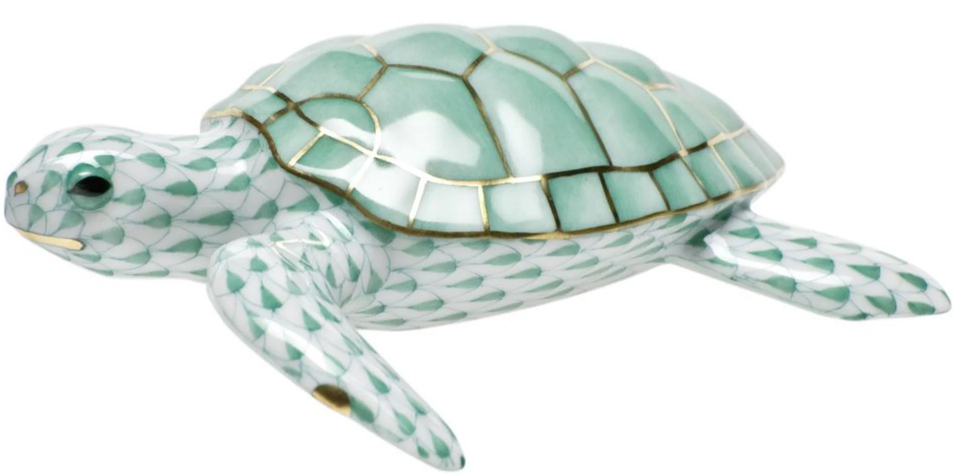Loggerhead Turtle - Image 3