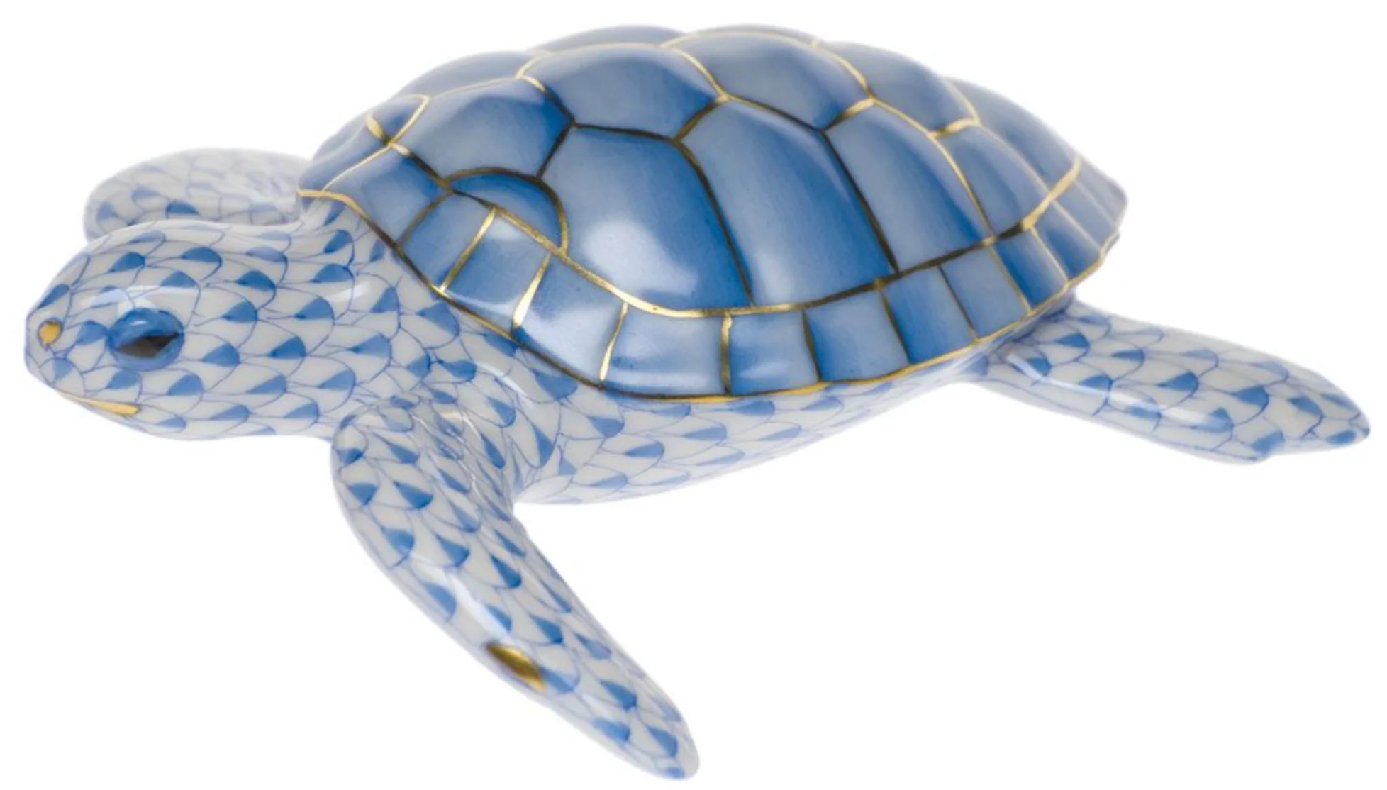 Loggerhead Turtle - Image 4