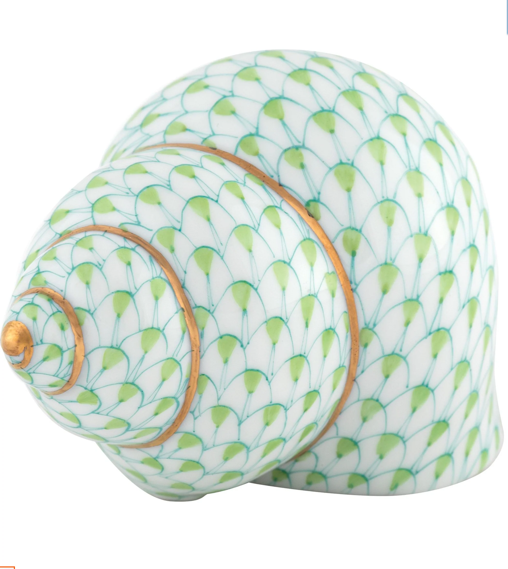 Periwinkle Shell - Image 3