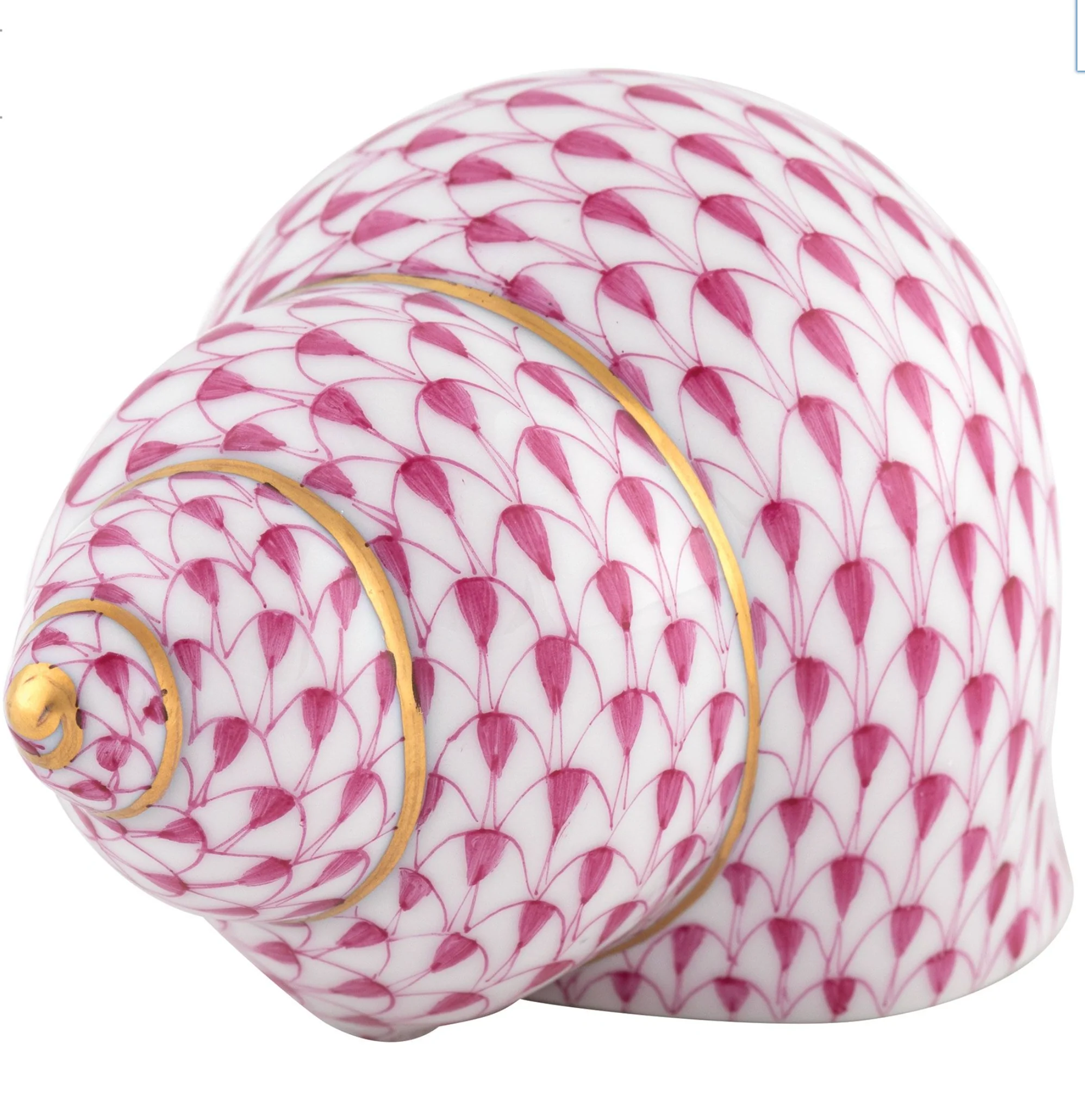 Periwinkle Shell - Image 4