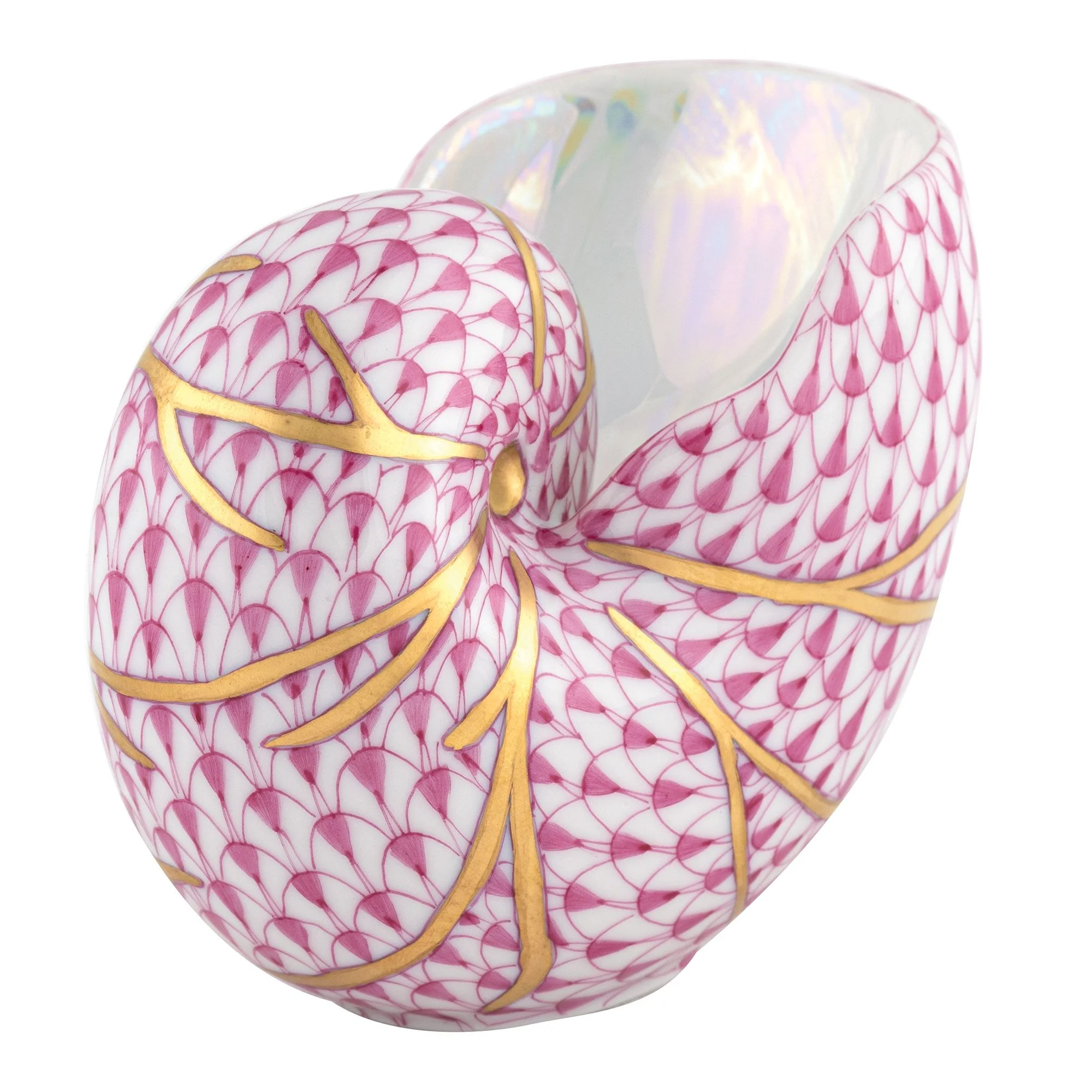 Small Nautilus Shell - Image 4
