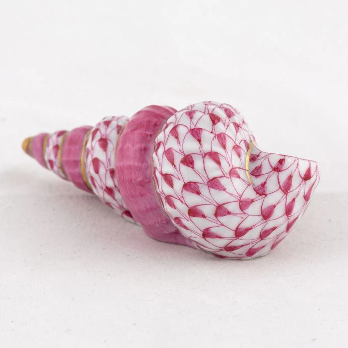 Staircase Shell Collection - Image 5