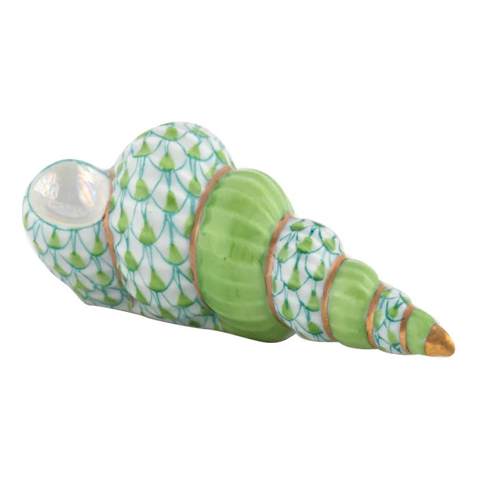 Staircase Shell Collection - Image 7