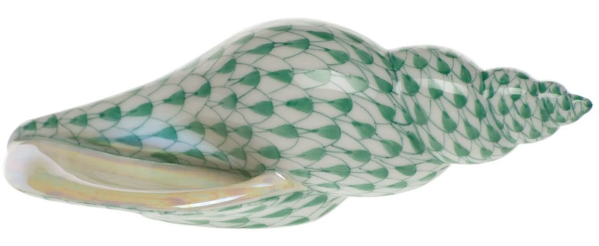 Tulip Shell - Image 3