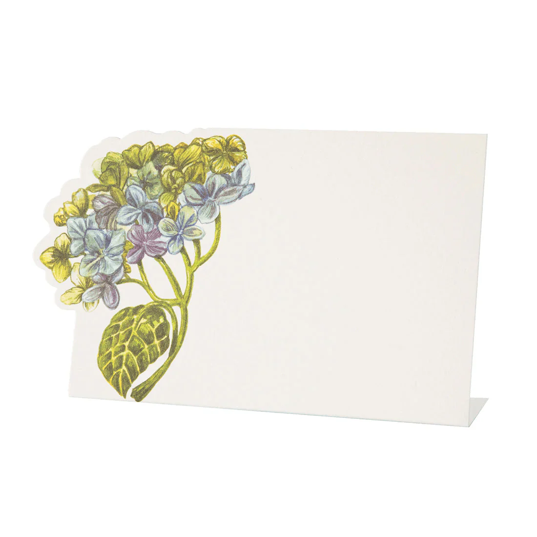 Hydrangea Collection - Image 2