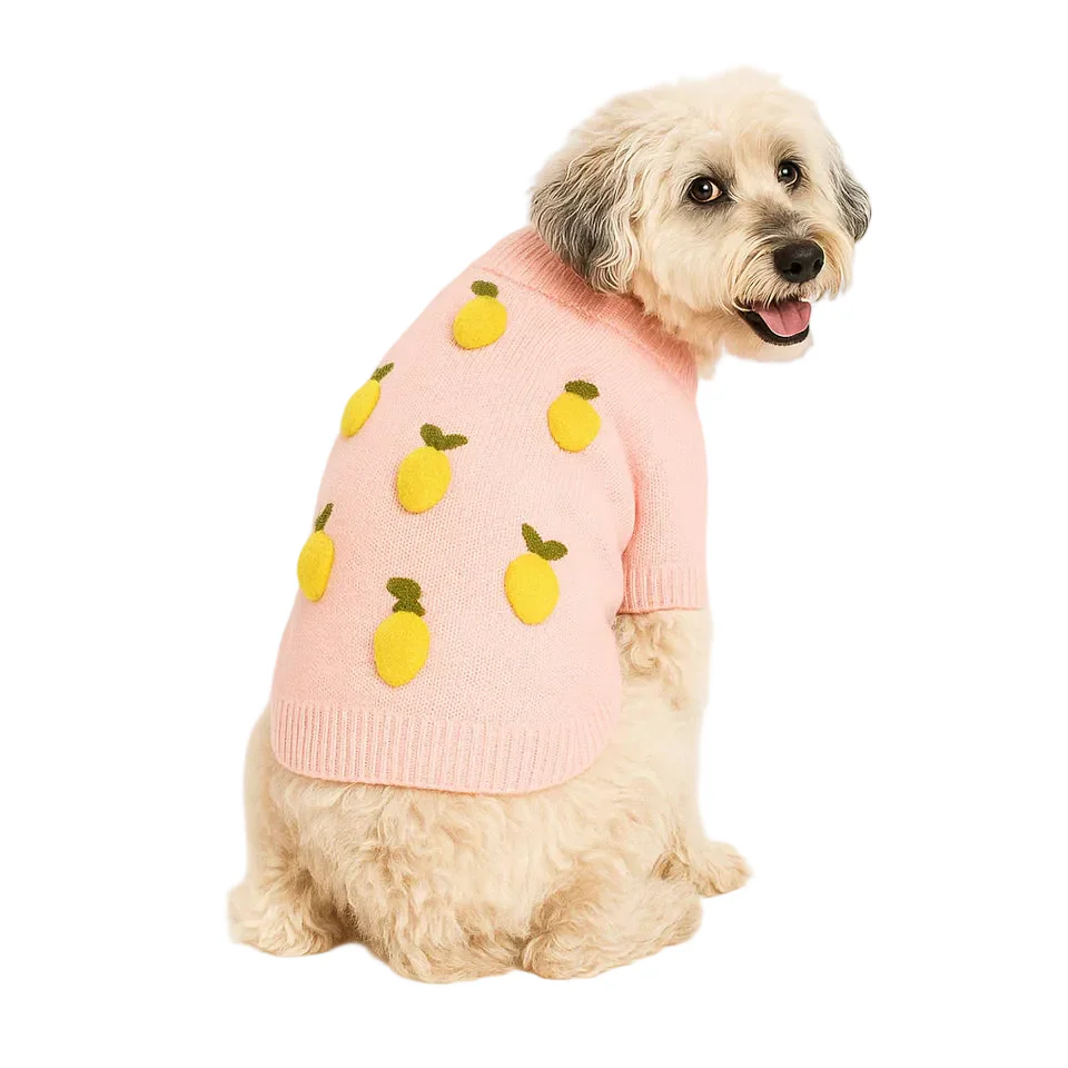 Icon Sweater - Image 4