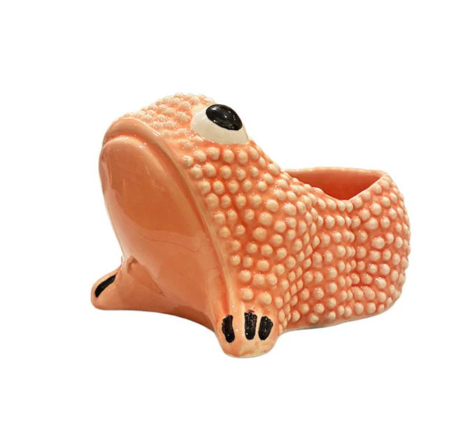 Ceramic Frog Collection - Image 7