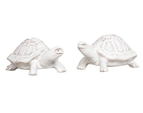 Clever Creatures Turtle Salt and Pepper Set