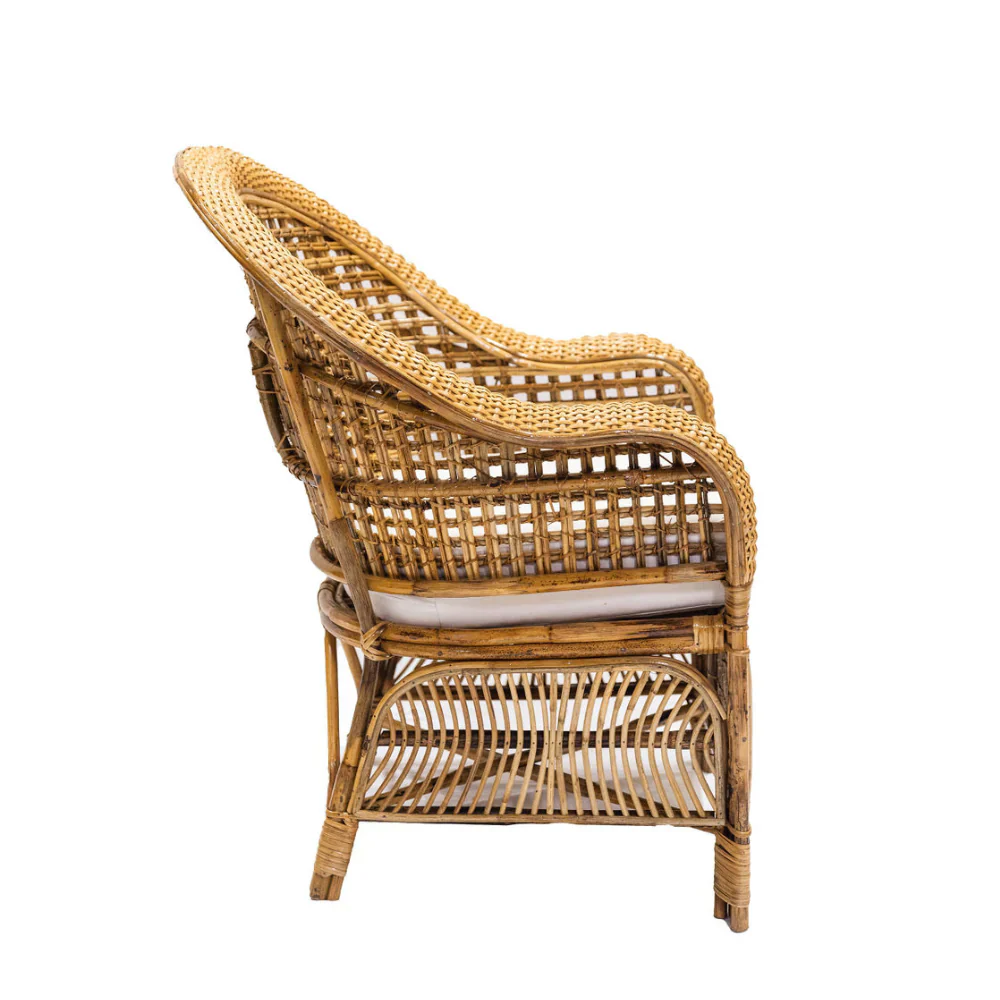 Julianna Occasional Chair - Image 2