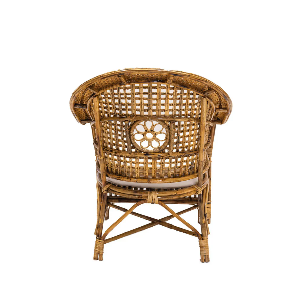 Julianna Occasional Chair - Image 3