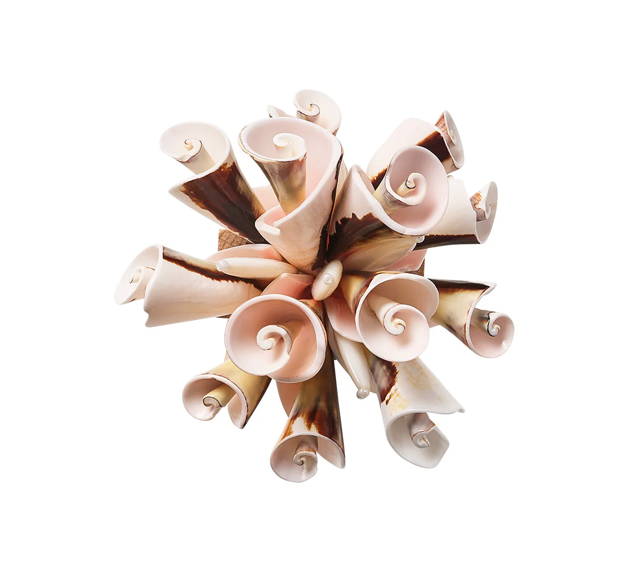 Seashell Burst Napkin Ring - Image 3