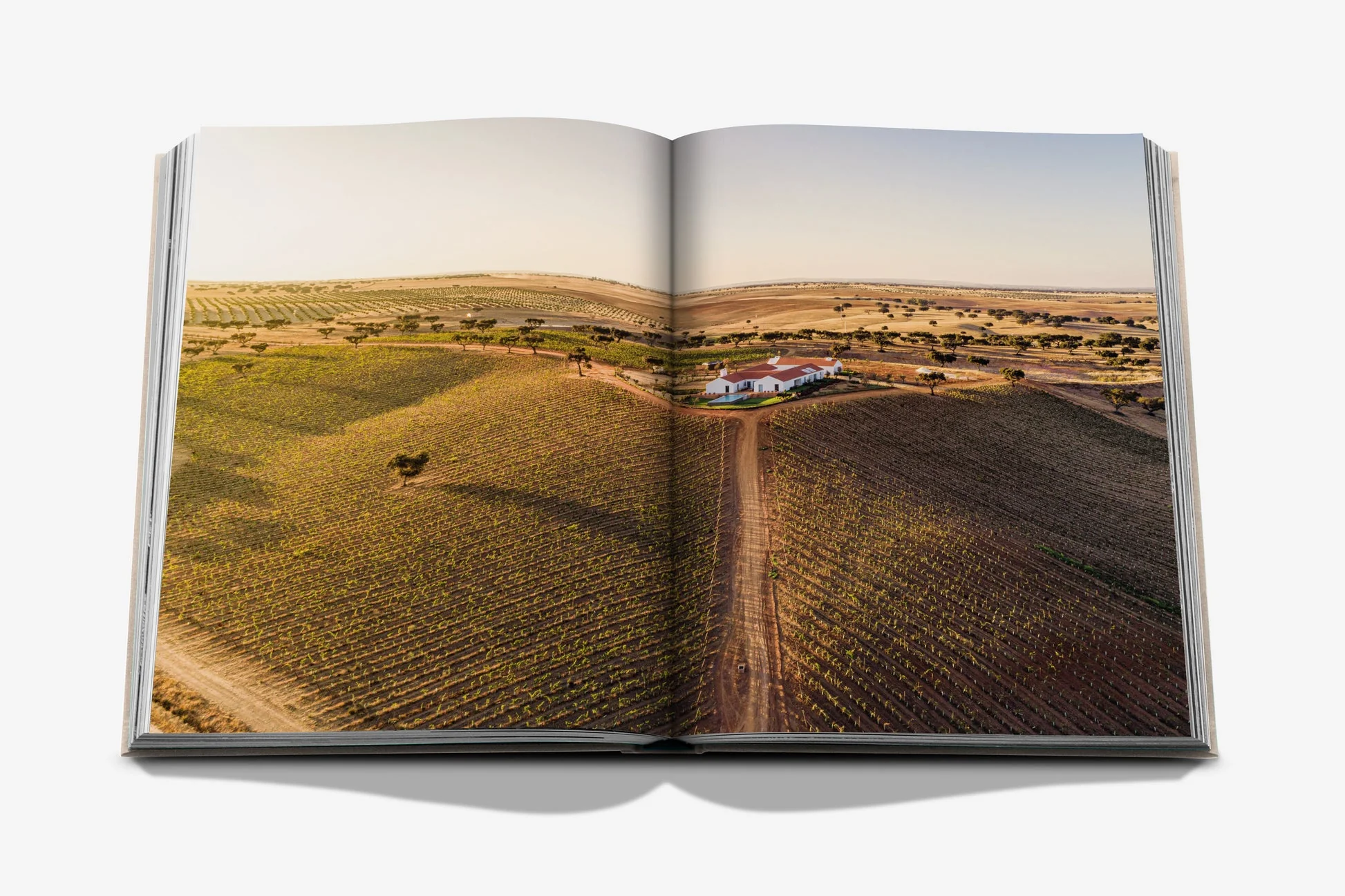 Malhadinha, The Soul of Alentejo - Image 4