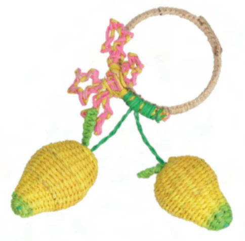 Mango Napkin Ring