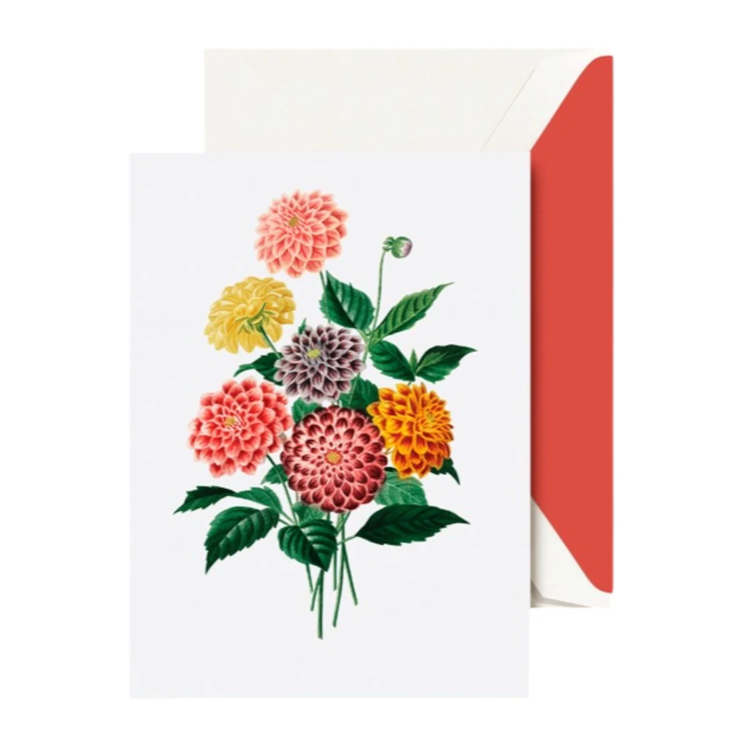 Modern Vintage Dahlia Note Card Set
