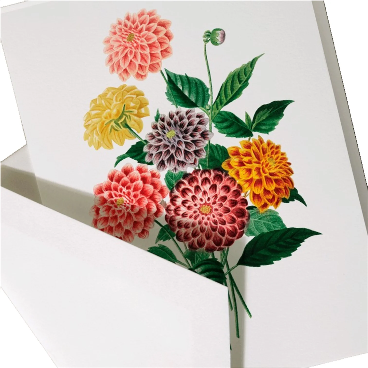 Modern Vintage Dahlia Note Card Set - Image 2