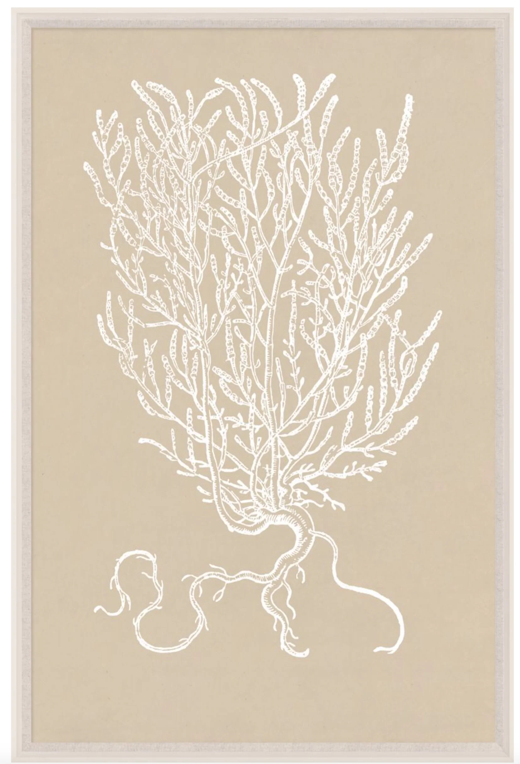 Botanical Study Series 3, 42" x 63"