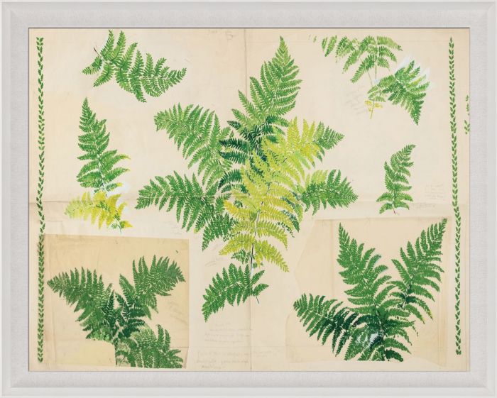 Fern by Paule Marrot in Acrylic Box
