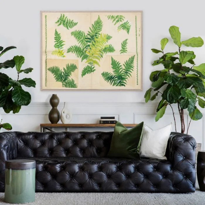 Fern by Paule Marrot in Acrylic Box - Image 2