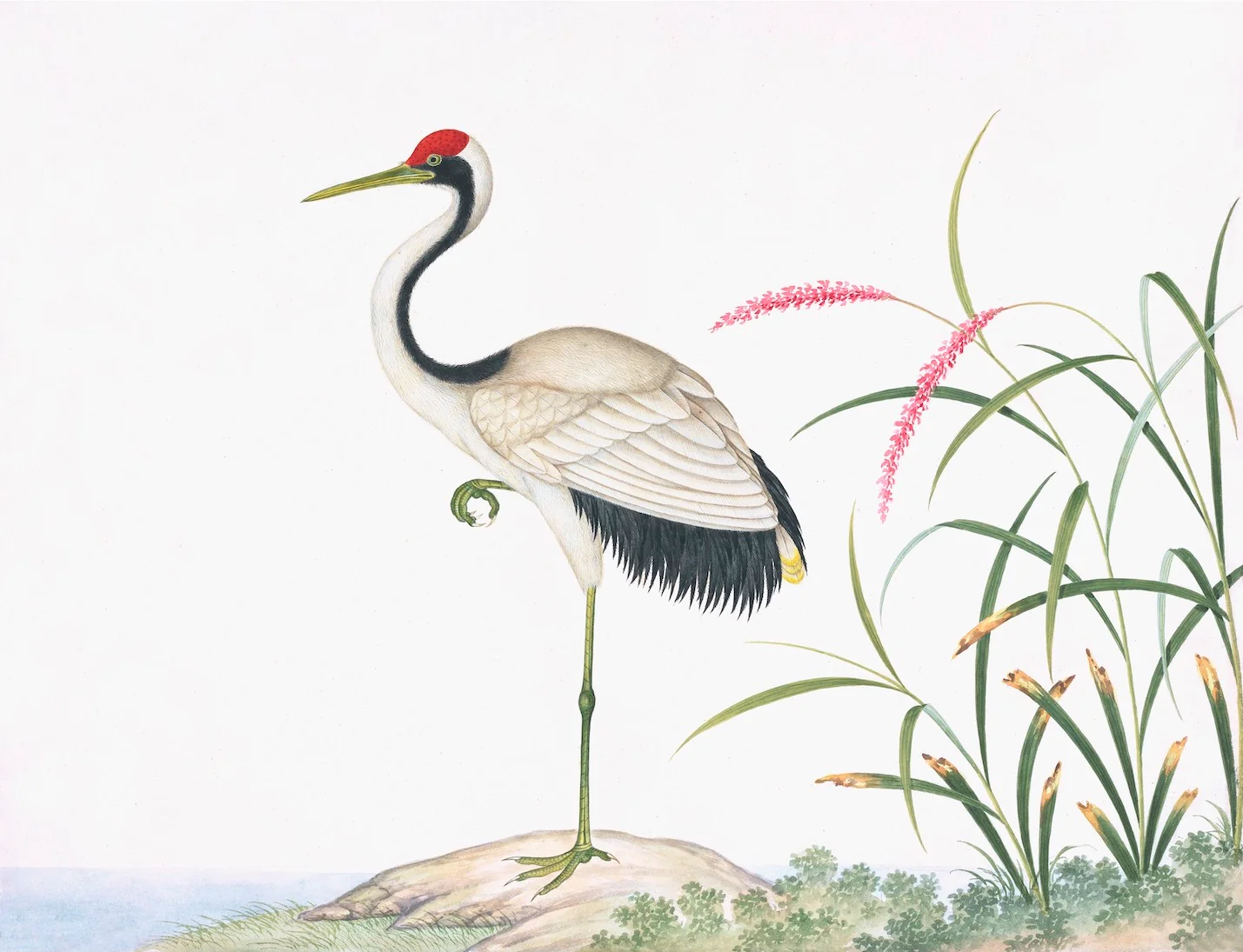 Chinese Birds Print 3711