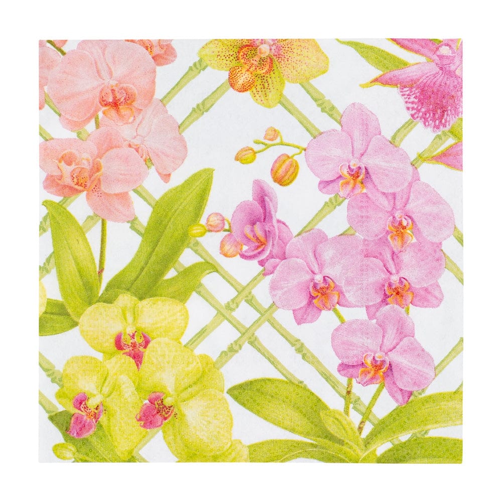 Orchid Conservatory Napkin and Placemat Collection - Image 2