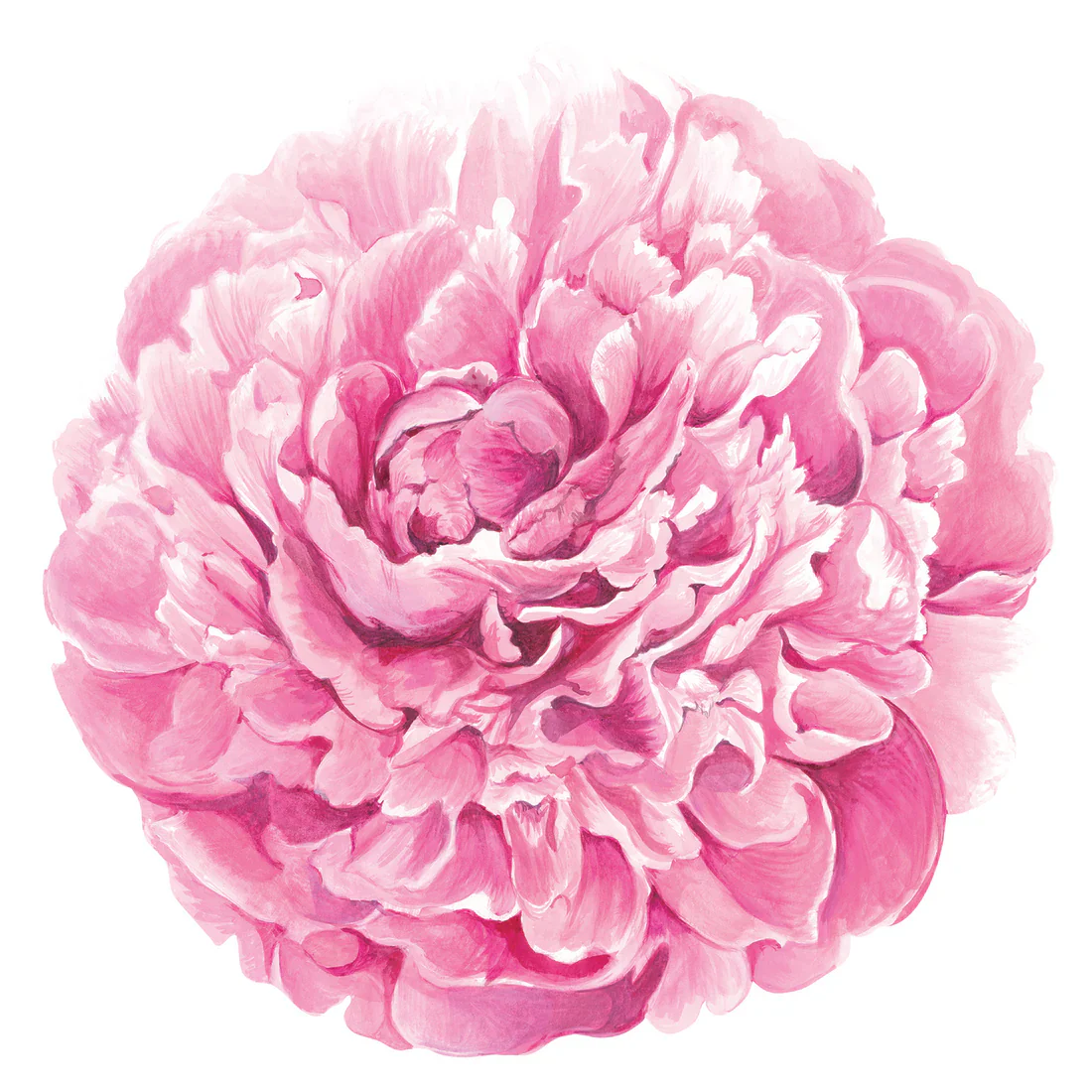 Peony Collection - Image 2