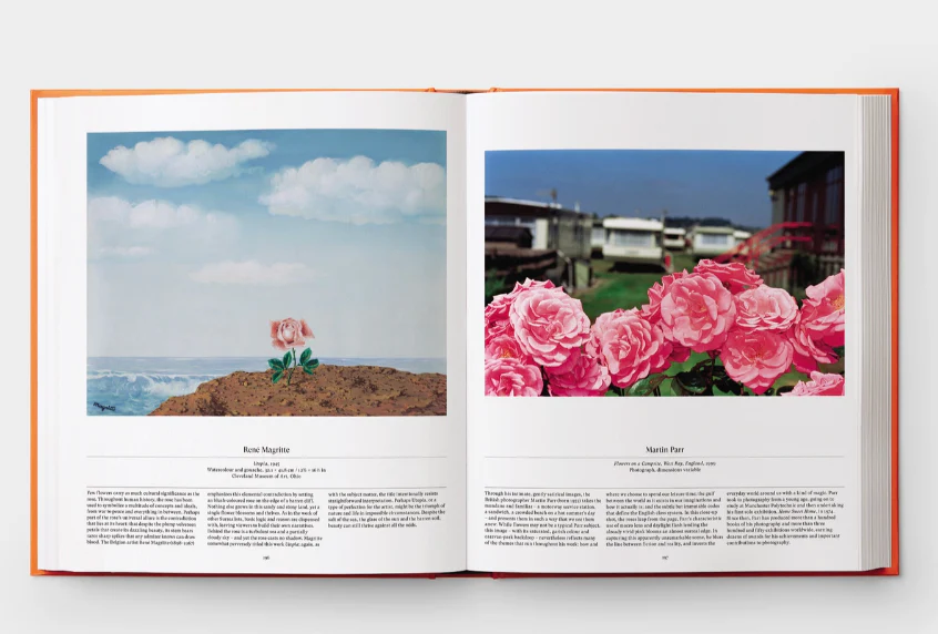 Flower: Exploring The World In Bloom - Image 3