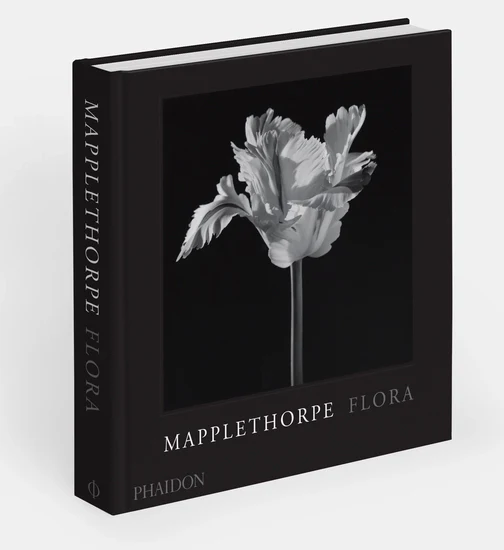 Mapplethorpe Flora: The Complete Flowers - Image 2