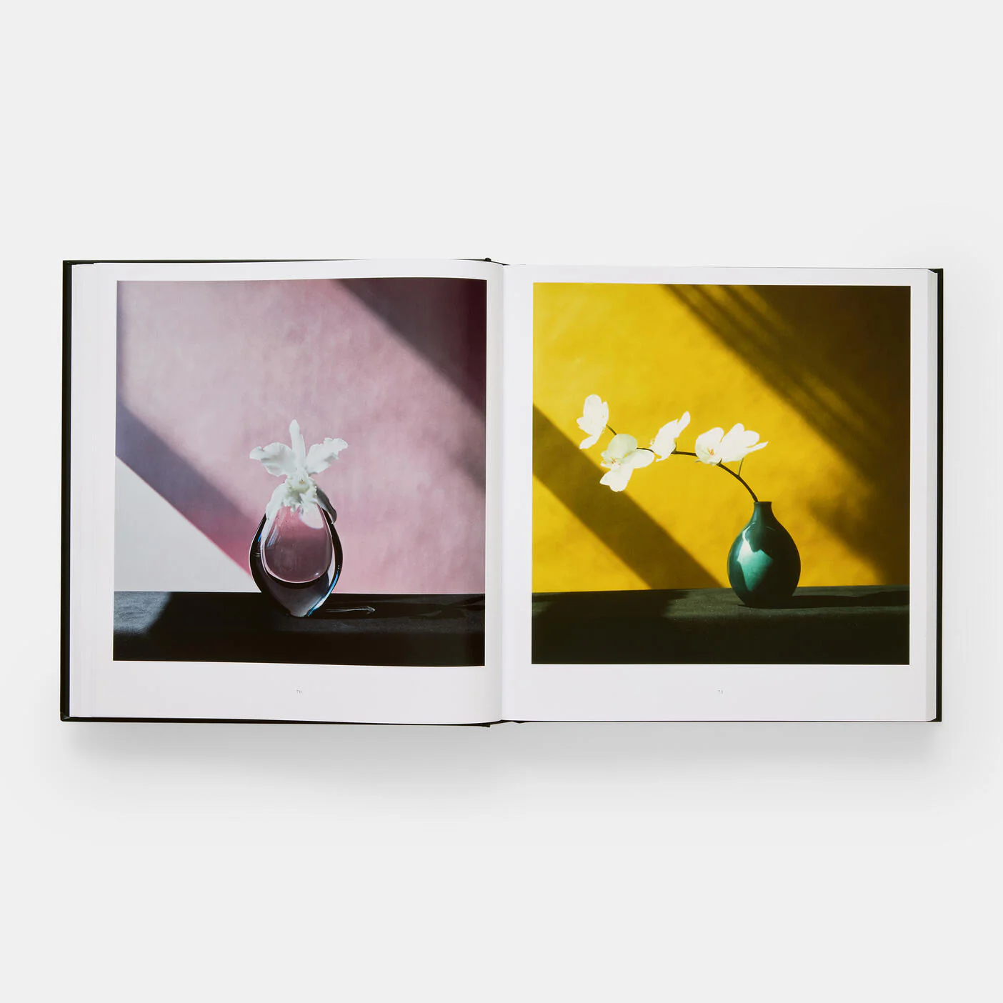 Mapplethorpe Flora: The Complete Flowers - Image 3