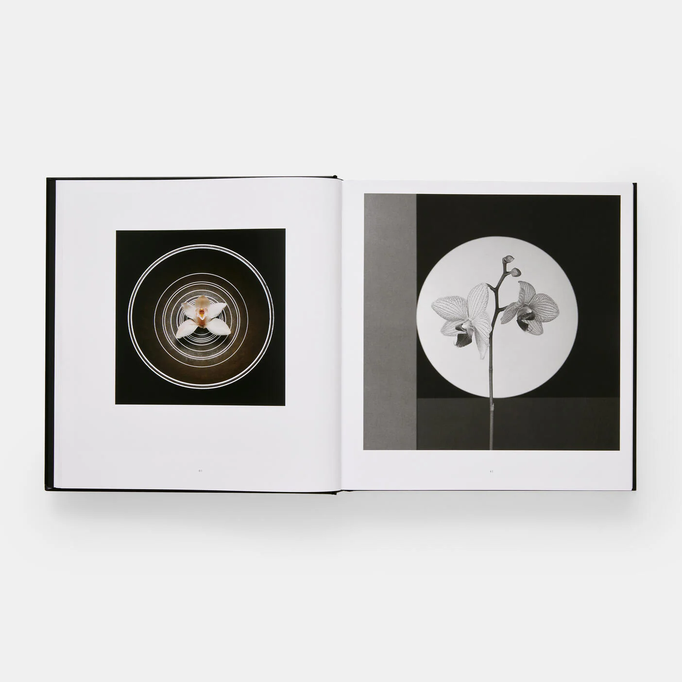 Mapplethorpe Flora: The Complete Flowers - Image 4