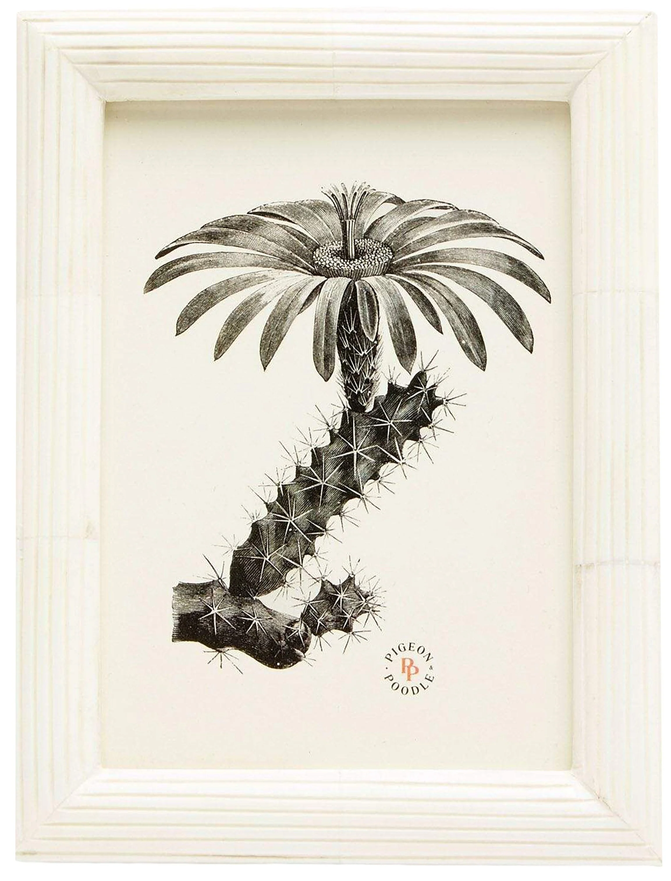 Velden Frame Collection - Image 3
